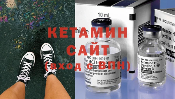 ГАЛЛЮЦИНОГЕННЫЕ ГРИБЫ Дмитриев