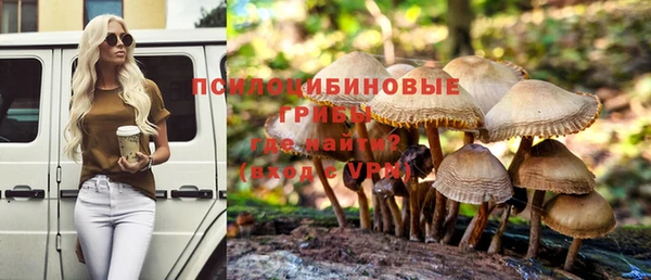 метадон Аркадак