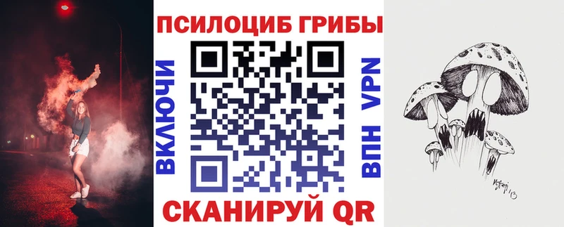 Галлюциногенные грибы Cubensis Губкин